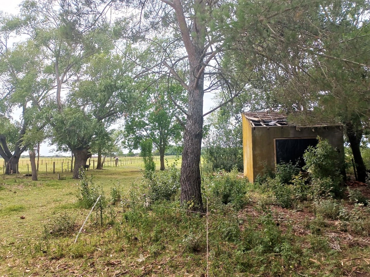 AMPLIO Y AGRESTE LOTE EN VENTA A 10´ DE PINAMAR