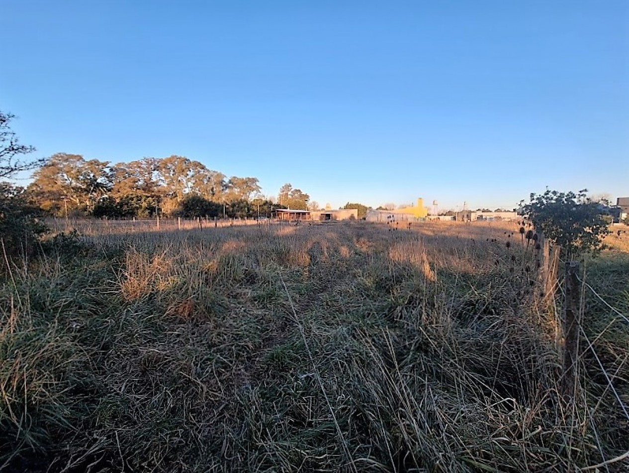 LOTE DE 1000m2, BARRIO EL MODELO.Se vende con plano aprobado para vivienda de 70m2