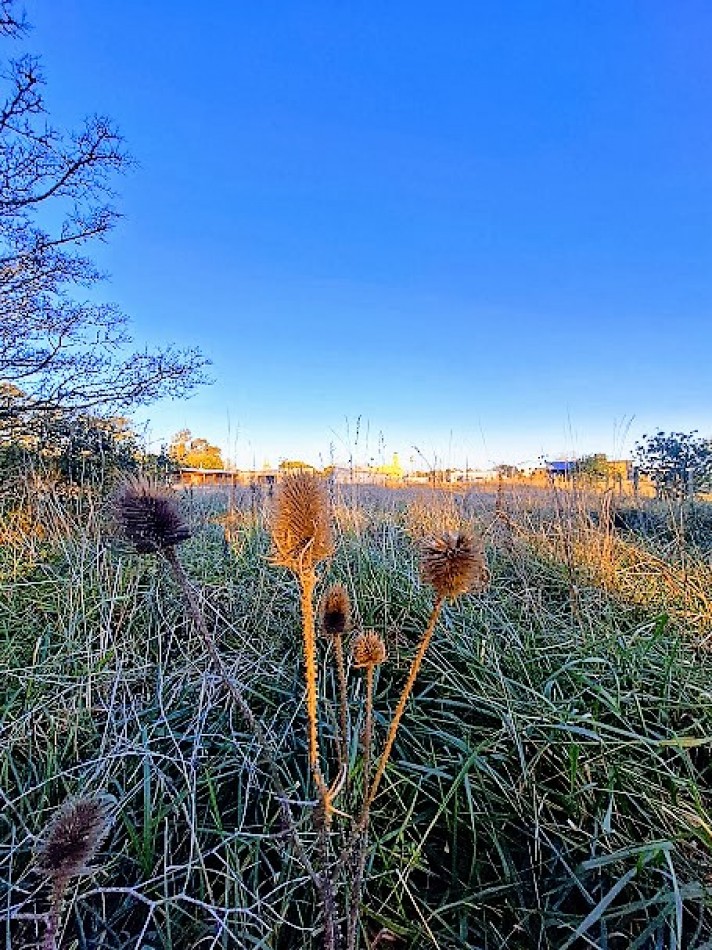 LOTE DE 1000m2, BARRIO EL MODELO.Se vende con plano aprobado para vivienda de 70m2