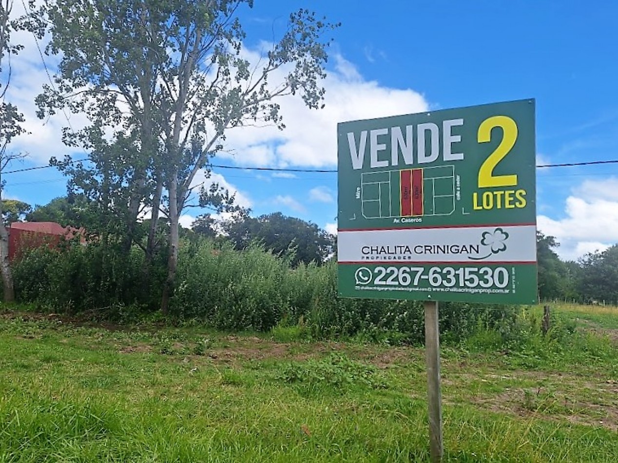 Gral. Madariaga,  lote unifamiliar sobre Avenida.