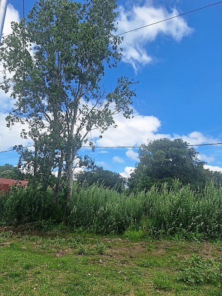Gral. Madariaga,  lote unifamiliar sobre Avenida.