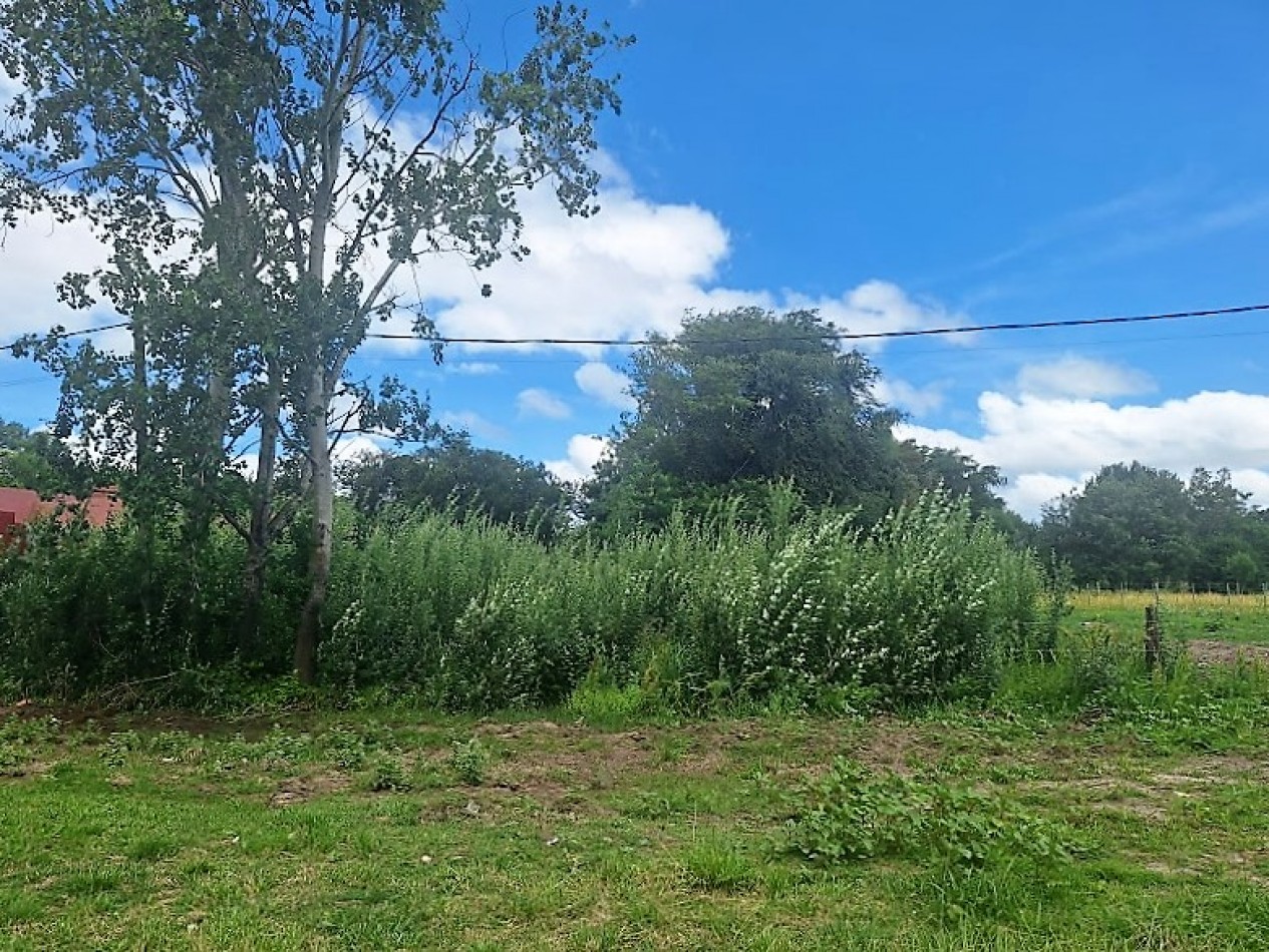 Gral. Madariaga,  lote unifamiliar sobre Avenida.