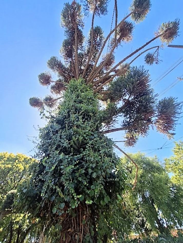 LOTE EN ESQUINA, FRENTE A AVENIDA PRINCIPAL CON HERMOSAS VISTAS.