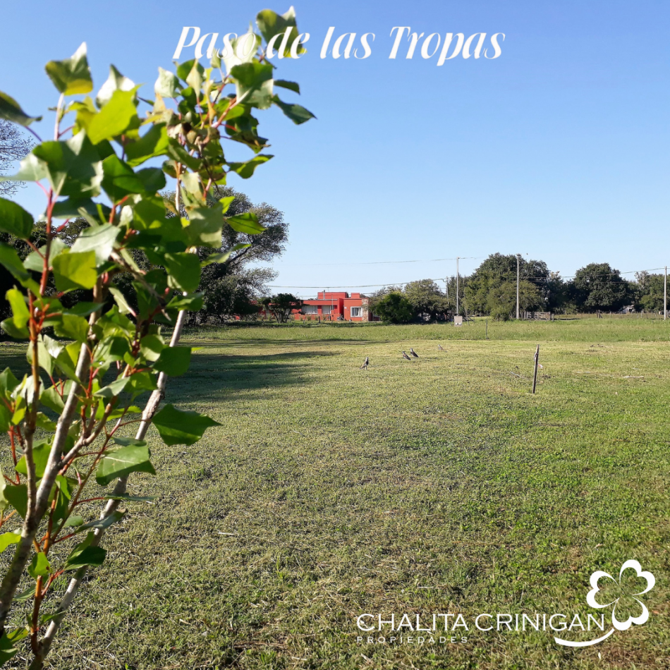 Lote 11- Paso de las Tropas.