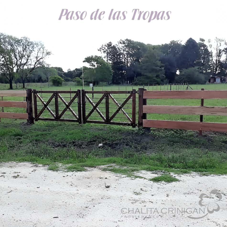 Lote 1- Paso de las Tropas.