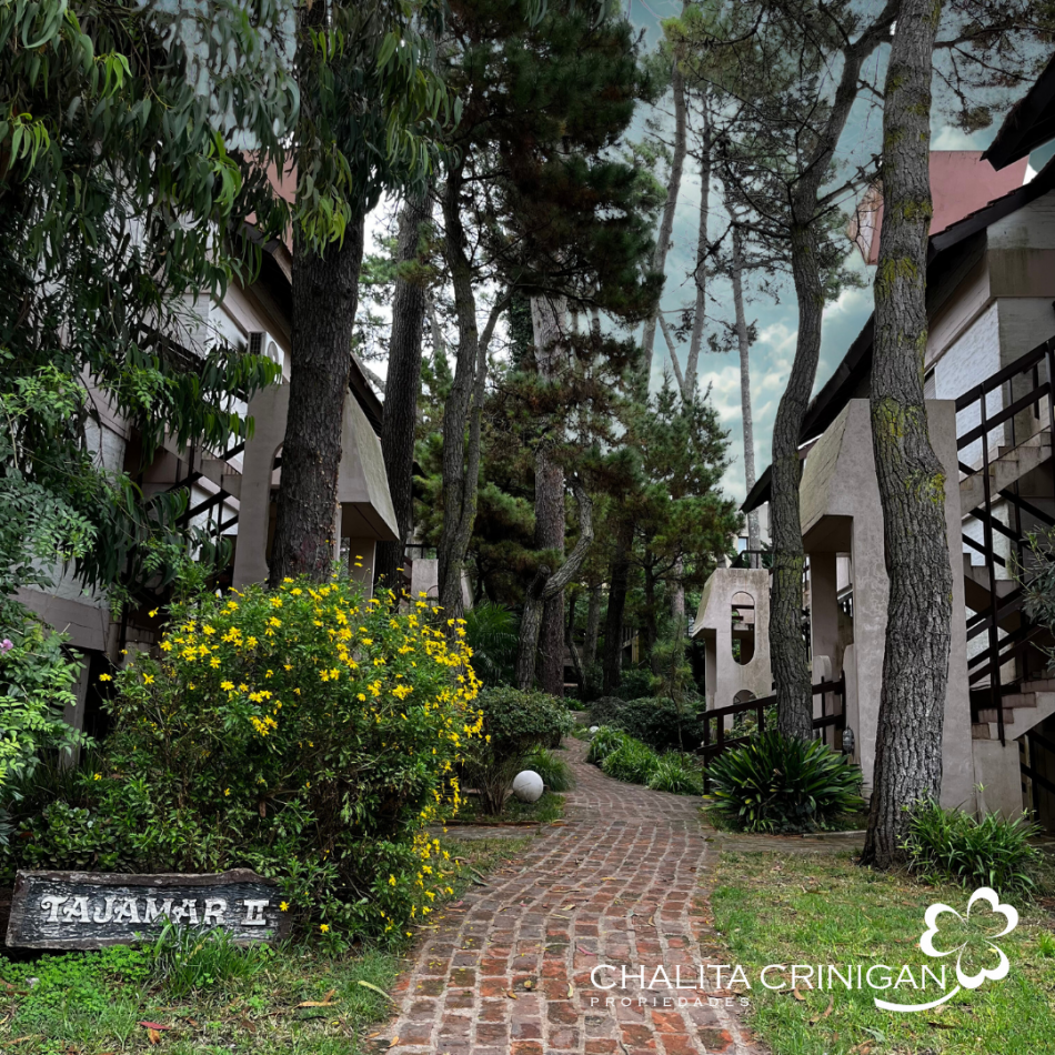 Pinamar - Departamento de 3 ambientes amplios y muy luminoso. 
