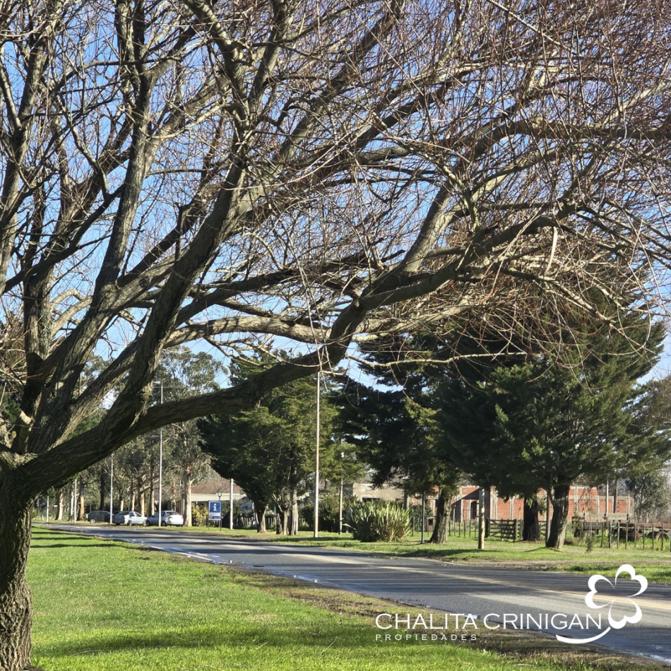 ¡VENTA! Gral. Madariaga, Bs. As.  Te presentamos este espectacular lote unifamiliar en zona residencial, rodeado de construcciones de gran nivel y un entorno de tranquilidad.