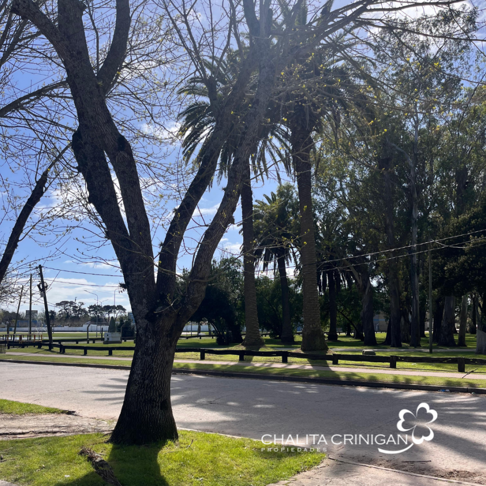 ¡VENTA! Gral. Madariaga, Bs. As. Oportunidad para desarrollo multifamiliar, vivienda unifamiliar con jardin o proyecto a medida en una zona verde y accesible.