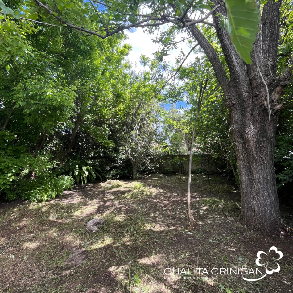 ¡VENTA! Gral. Madariaga, Bs. As. Oportunidad para desarrollo multifamiliar, vivienda unifamiliar con jardin o proyecto a medida en una zona verde y accesible.