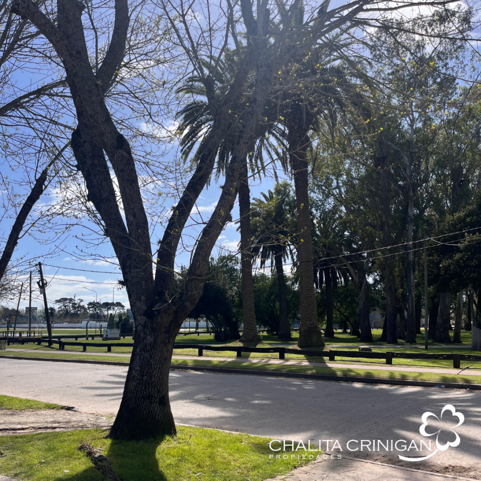 ¡VENTA! Gral. Madariaga, Bs. As. Oportunidad para desarrollo multifamiliar, vivienda unifamiliar con jardin o proyecto a medida en una zona verde y accesible.