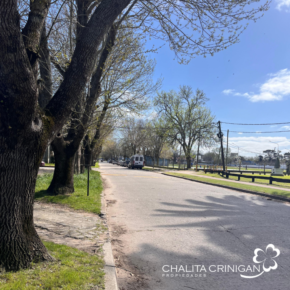 ¡VENTA! Gral. Madariaga, Bs. As. Oportunidad para desarrollo multifamiliar, vivienda unifamiliar con jardin o proyecto a medida en una zona verde y accesible.