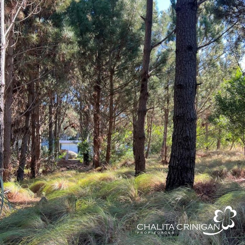 Costa Esmeralda - Lote Golf II 642