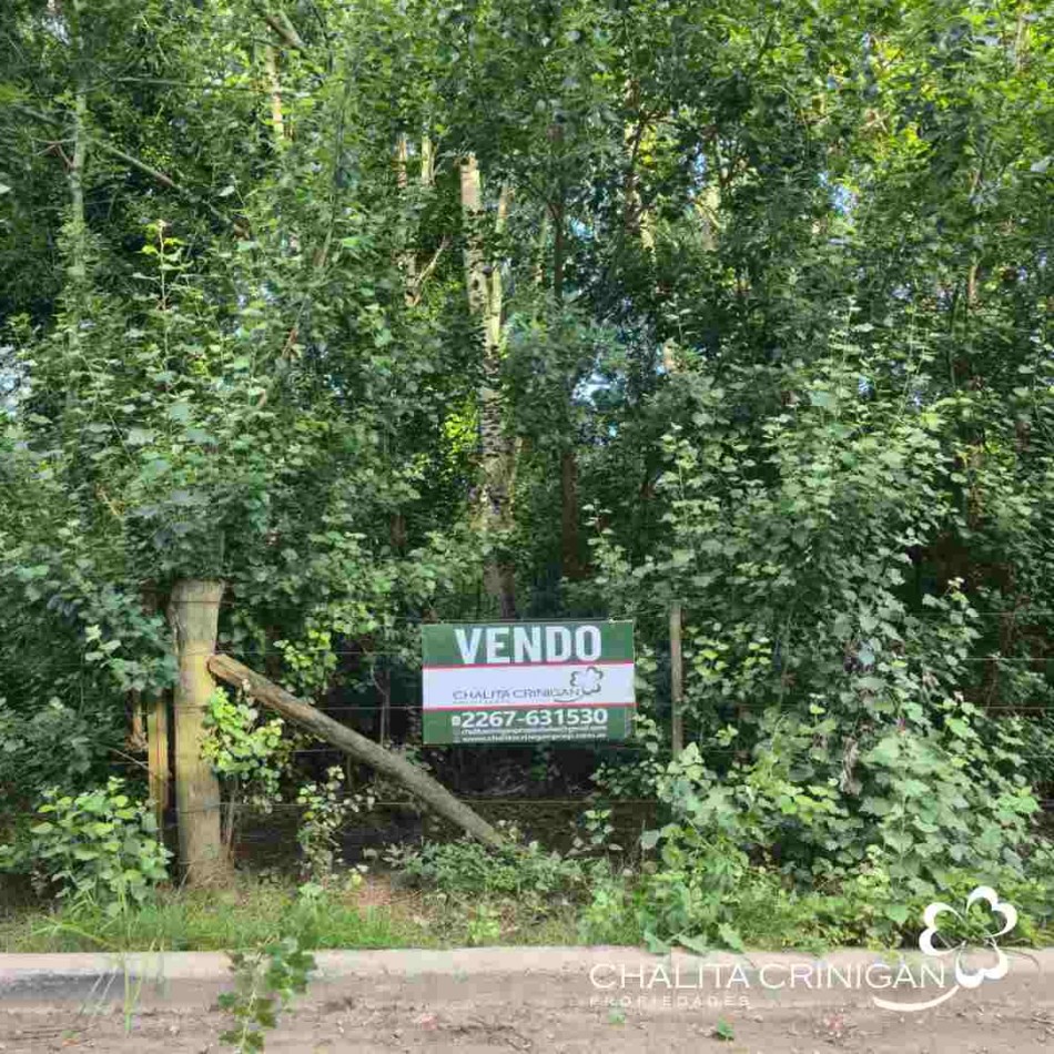 ¡VENTA! Gral Madariaga - Buenos Aires 1 hectarea excelente ubicacion