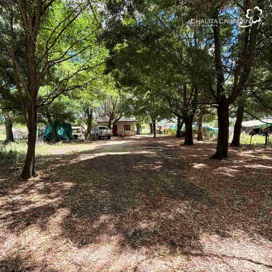 ¡VENTA! Gral. Madariaga, Bs.As. Media hectarea arbolada 