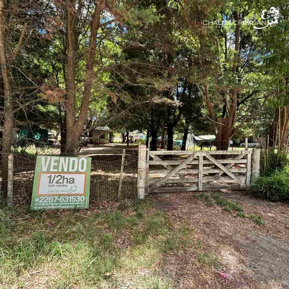 ¡VENTA! Gral. Madariaga, Bs.As. Media hectarea arbolada 