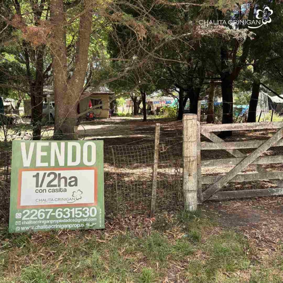 ¡VENTA! Gral. Madariaga, Bs.As. Media hectarea arbolada 