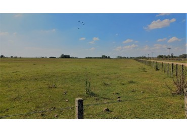 CHACRA- CAMPO EN GRAL. GUIDO, BS.AS. APTO FINANCIACION.